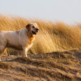 Nog een laatste blik over het strand.