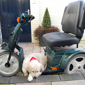 Max op mijn oude scootmobiel :-)