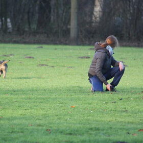Hondenfoto van team Shadow