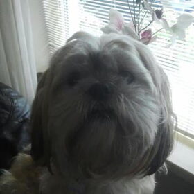 me mooi meid!!