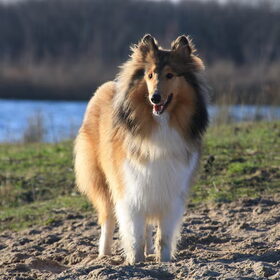 Lieffie @ 42 weken