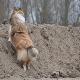 Wat is er achter die zandberg? @ 48 weken