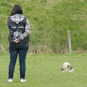 Op de hondenschool met Taiko en m'n nieuwe trainingsvest :-D