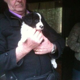 Onze nieuwe pup Odie, met mijn schoonvader!