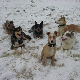 lekker in de sneeuw....!!