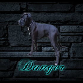 Danger
