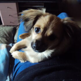 5 maandjes en 3 dagen :-) 23-03-2013