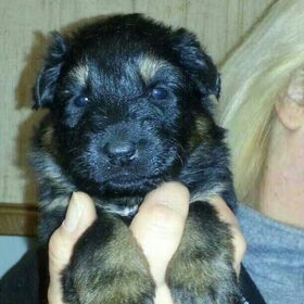 Onze lieve Noah :)