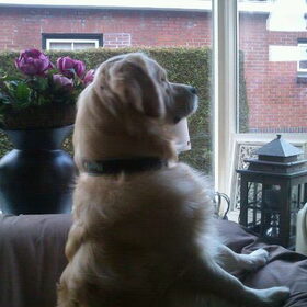 boris 14 maanden