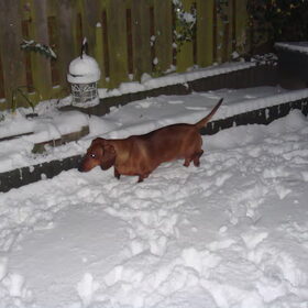 Eerste winter