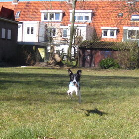eindelijk lente! jippie,ik moet er spontaan van springen wat een…