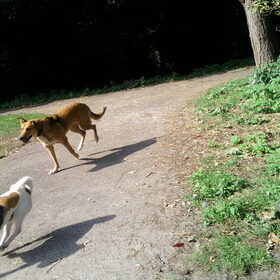 Action Mila.
