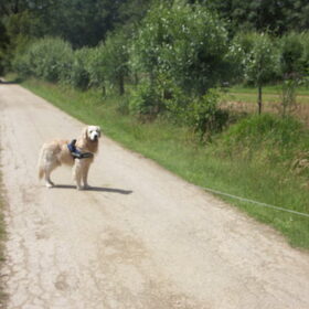 Hondenfoto van Marie-Rose & Tibootje (RIP) + Freya'tje