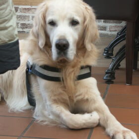 Tibootje mee in de cafetaria, is onze zondagse gewoonte..eerst…