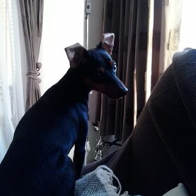 Chico Januari en Februari en Maart 2013 (10)