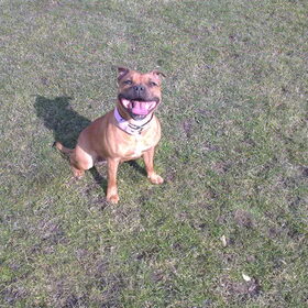 Zara, 10 maanden