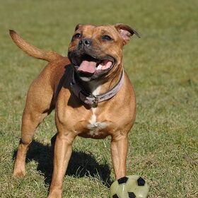 Zara, 10 maanden