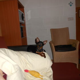 Chico Landal Lommerbergen Maart 2013 (1)