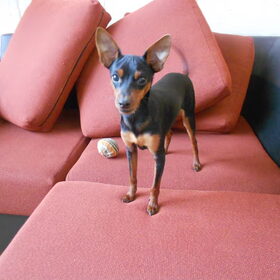 Chico Landal Lommerbergen Maart 2013 (2)
