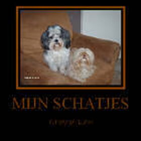 Hondenfoto van liesbeth,Turbo,Luna, Levi en Faith
