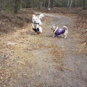 Jump!
