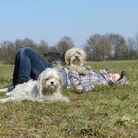 Hondenfoto van Melissa, Dempsey, Taiko, Minos & *Nina*