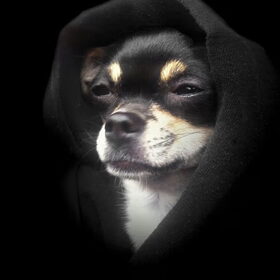 Chihua Wars; Emperor Twinko