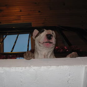In ons huisje in Frankrijk :)
