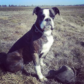6april2013: wandelen met monkey.