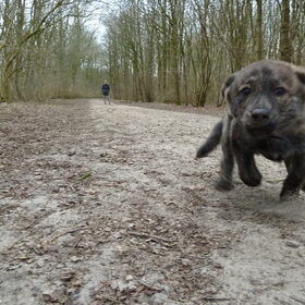 Dagje in het Bos met Djego