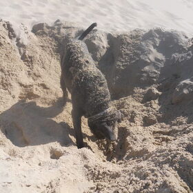 lekker onder het zand