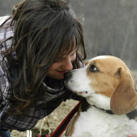 Hondenfoto van Melissa, Dempsey, Taiko, Minos & *Nina*