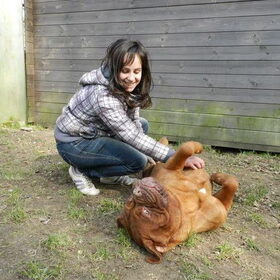Met Ifka