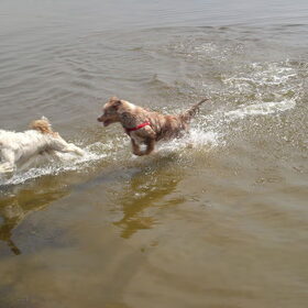 Op Lauwersoog