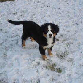 mooi poseren