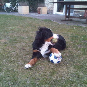 grr.. mijn ballen