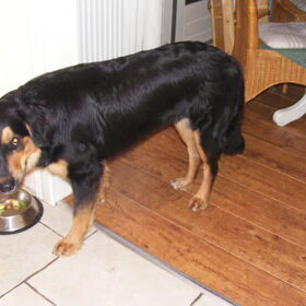 Hier ben ik alweer 8,5 mnd oud en ik eet komkommer omdat ze me…