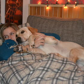 Hondenfoto van sofie, Lucky en Zita <3