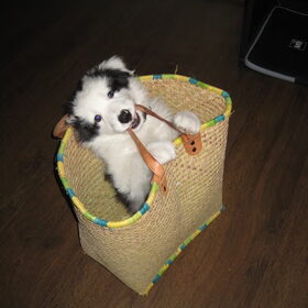 Bij de buren een tas aan het slopen! :)