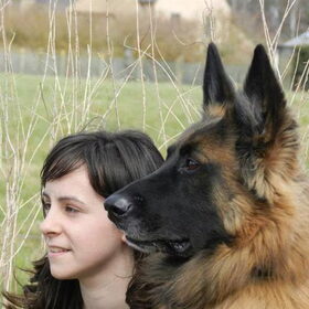Hondenfoto van Melissa, Dempsey, Taiko, Minos & *Nina*