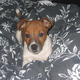 Schattig!