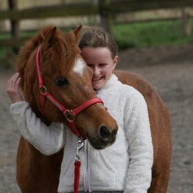 Hondenfoto van Tamara,Kallista & Marcel, Hercule †, Yordi †