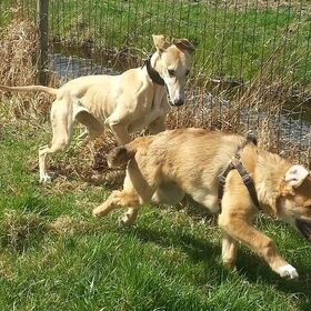 1ste keer speeltuin voor Aysa 18-03-13