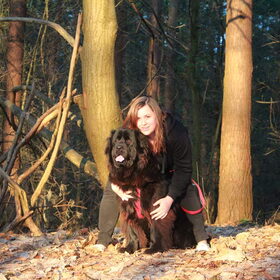 Hondenfoto van ••*Shaan & Raya*••