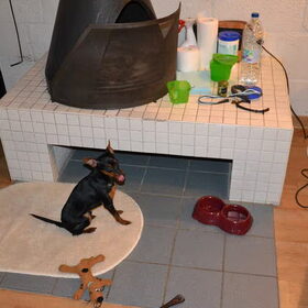 Chico Landal Lommerbergen Maart 2013 (5)