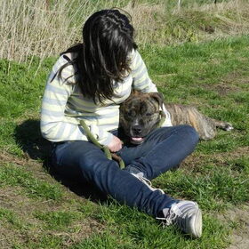 Knuffelen met asielhondje Bullet