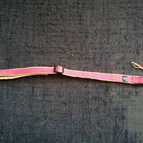 Evy haar halsband.