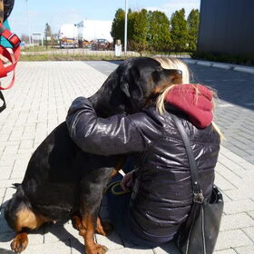 Knuffelen met een gevaarlijke rottweiler