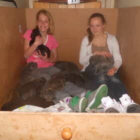 in de bak geen straf