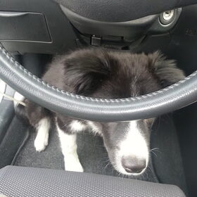 Het aller leukste vind ik in de auto zitten